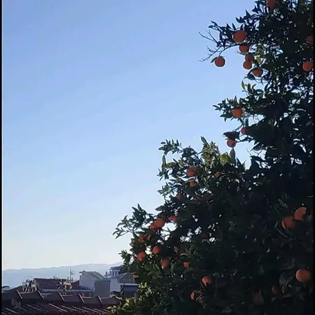 Novo Studio Σκιάθος Πόλη